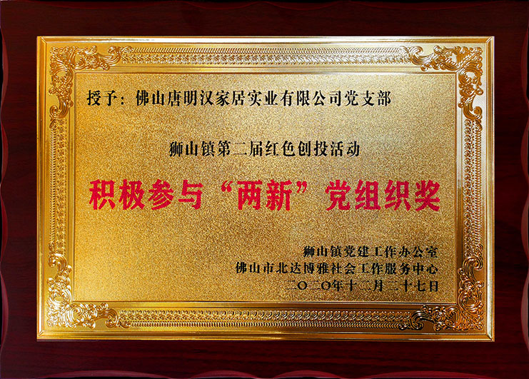 積極參加兩新黨組織獎